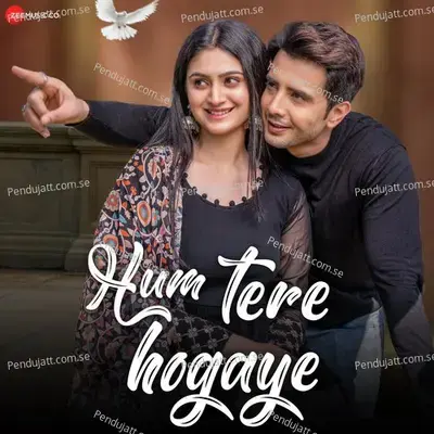 Hum Tere Hogaye - Altamash Faridi album cover 