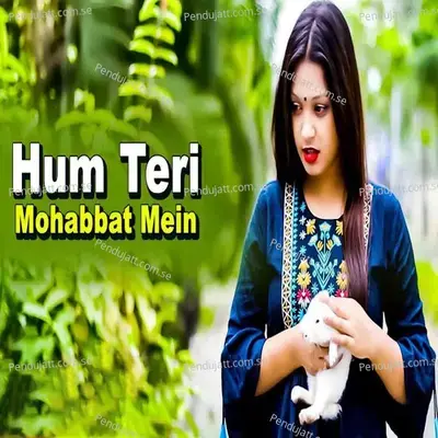 Hum Teri Mohabbat Mein - Rohit Roy album cover 