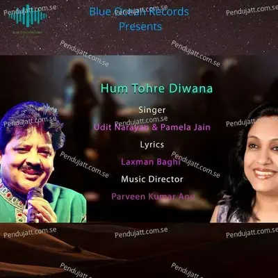 Hum Tohre Diwana - Udit Narayan album cover 