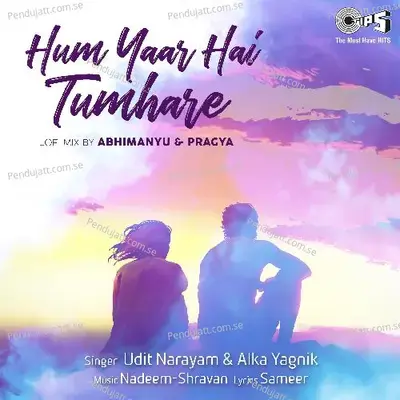 Hum Yaar Hai Tumhare (Lofi Mix) - Udit Narayan