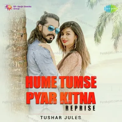 Hume Tumse Pyar Kitna - Reprise - Tushar Jules album cover 