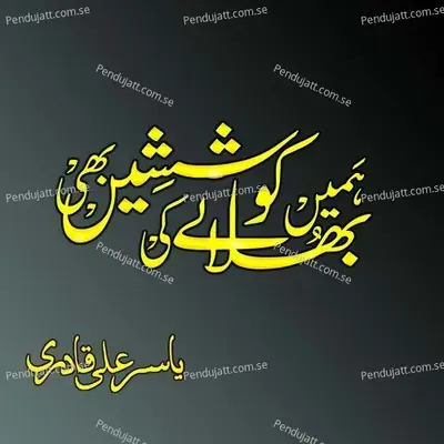 Humen Bhulane Ki Koshishen Bhi - Yasir Ali Qadri album cover 