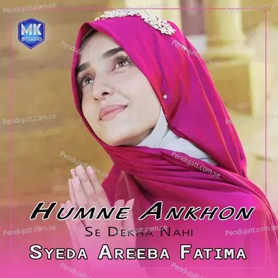 Humne Ankhon Se Dekha Nahi - Syeda Areeba Fatima album cover 