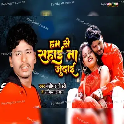 Humse Sahai Na Judai - Banshidhar Chaudhari album cover 