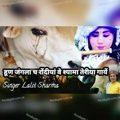 Hun Jangla Ch Rondiyan Ve Shyama Teriyan Gaayen - Lalit Sharma album cover 