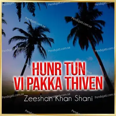 Hunr Tun Vi Pakka Thiven - Zeeshan Khan Shani album cover 