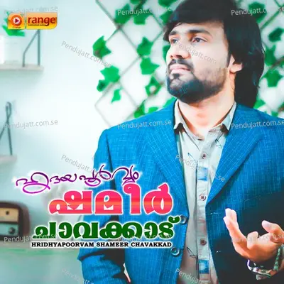 Hindinennum Rajave - Shameer Patturumaal album cover 