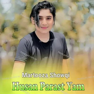 Za Musafir Yam Shaiste - Martooza Showqi album cover 