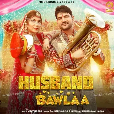 Husband Bawla - Dr. Sandeep Surila album cover 