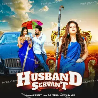 Husband Servant - Anu Dubey album cover 