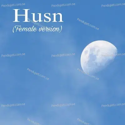 Husn - Mr Jyotish album cover 