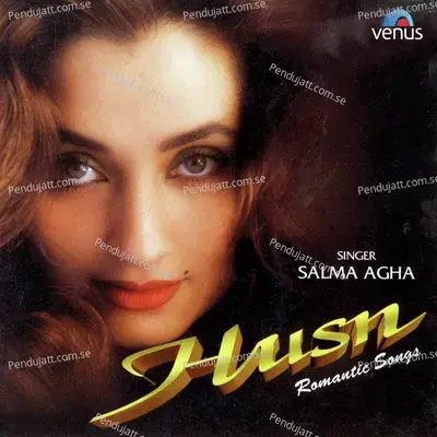 Yaad Koi Aa Raha Hai - Salma Agha album cover 