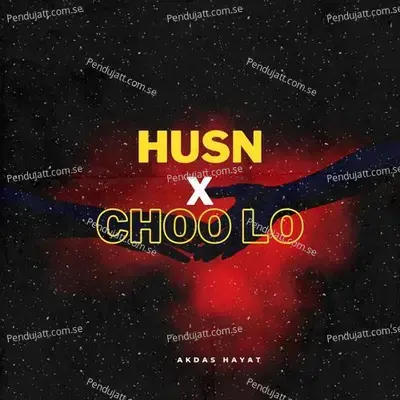 Husn X Choo Lo - Akdas Hayat album cover 