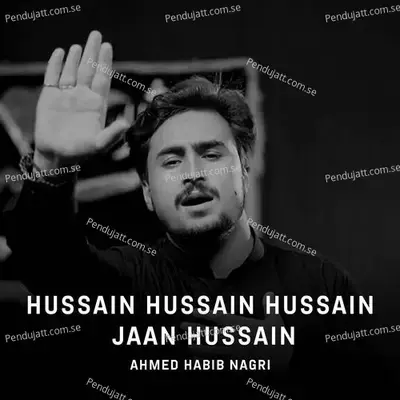 Hussain Hussain Hussain Jaan Hussain - Ahmed Habib Nagri album cover 