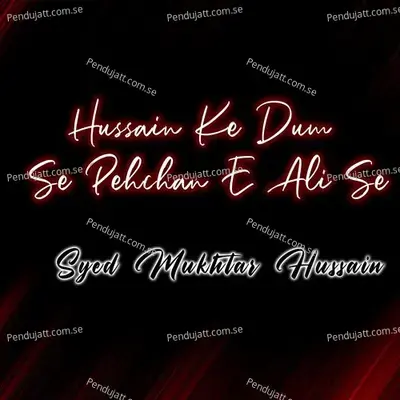 Hussain Ke Dum Se Pehchan E Ali Se - Syed Mukhtar Hussain cover album