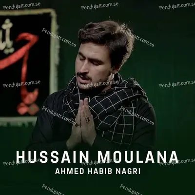 Hussain Moulana - Ahmed Habib Nagri album cover 