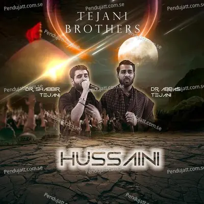 Ya Zainab - Tejani Brothers album cover 