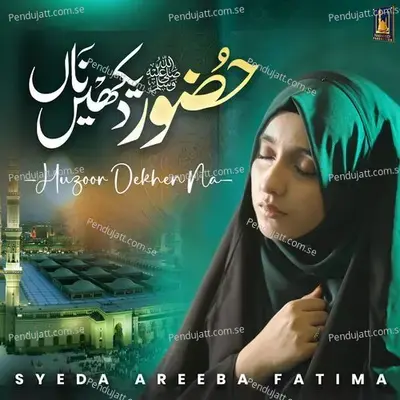 Huzoor Dekhen Na - Syeda Areeba Fatima album cover 