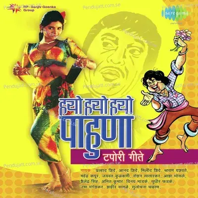 Batata Vada - Anand Shinde album cover 