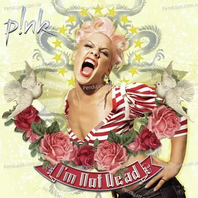 Dear Mr  President - P!nk album cover 