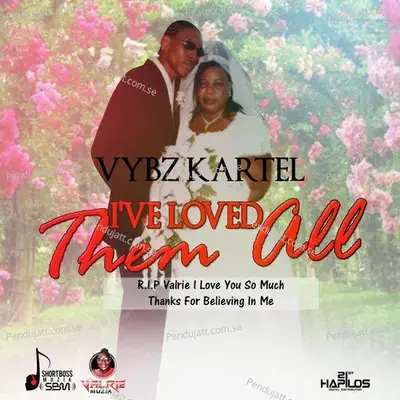I  039 Ve Loved Them All - Vybz Kartel album cover 