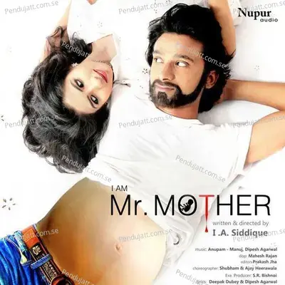 I Am Mr. Mother - Various Artists cover album