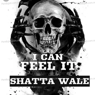 I Can Feel It - Shatta Wale album cover 