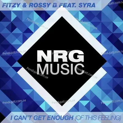 I Cant Get Enough - Fitzy album cover 