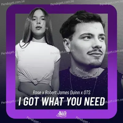 I Got What You Need - Rose album cover 