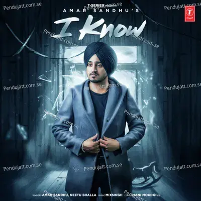 I Know - Amar Sandhu album cover 