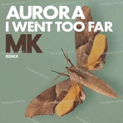 I Went Too Far - Aurora album cover 