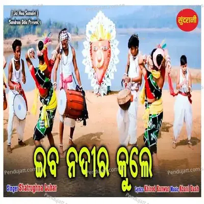 Ib Nadir Kule - Satrughna Luhar album cover 