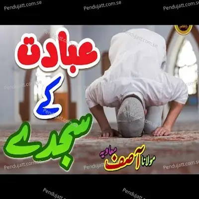 Tere Dushman Ka Satyanas Ho - Mufti Kausar Roohani album cover 
