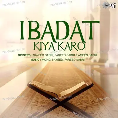 Ek Ajmer Mein Ek Baghdad Mein - Sayeed Sabri album cover 