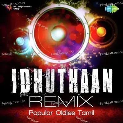 Chithaadai Kattikittu - Remix - Adithyan album cover 