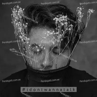  Idontwannatalk - Ali Zafar cover album