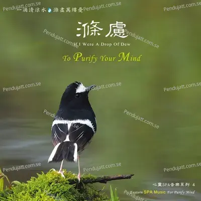 If I Were A Drop Of Dew - Zhou Zhi-Hong