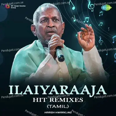 Ilaiyaraaja Hit Remixes - Ilaiyaraaja cover album