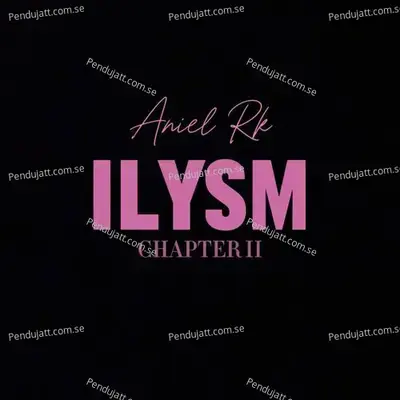 Ilysm - Aniel Rk album cover 