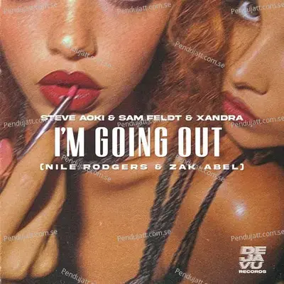 Im Going Out - Steve Aoki album cover 