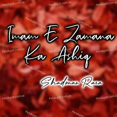 Agaye Hain Haider - Shadman Raza album cover 