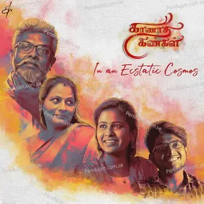 In An Ecstatic Cosmos - R.M. Sathiq album cover 