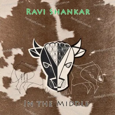 In The Middle - Pandit Ravi Shankar cover album