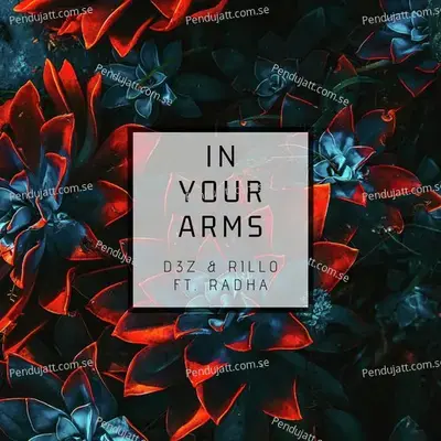 In Your Arms mp3 song