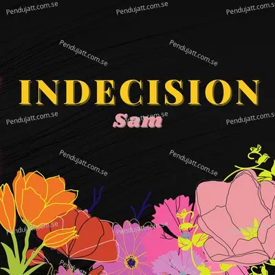 Indecision - Sam album cover 