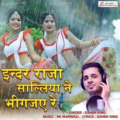 Inder Raja Salliya Ne Bhigajye Re - Gshek King album cover 
