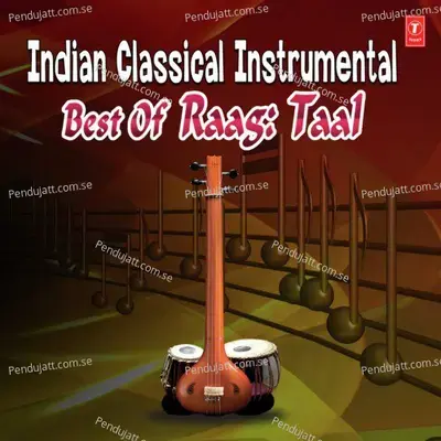 Indian Classical Instrumental - Best Of Raag  Taal - Ustad Sultan Khan cover album