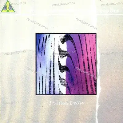 Indian Delta - Pandit Vishwa Mohan Bhatt cover album