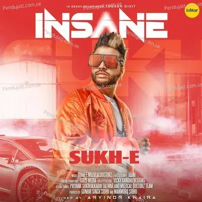 Insane - Sukh-E Muzical Doctorz album cover 