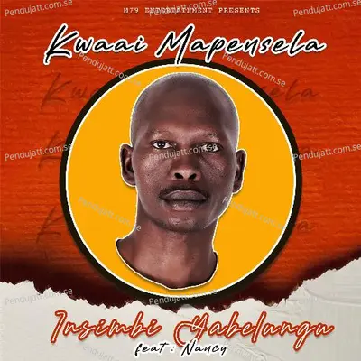 Insimbi Yabelungu - KWAII MAPENSELA album cover 